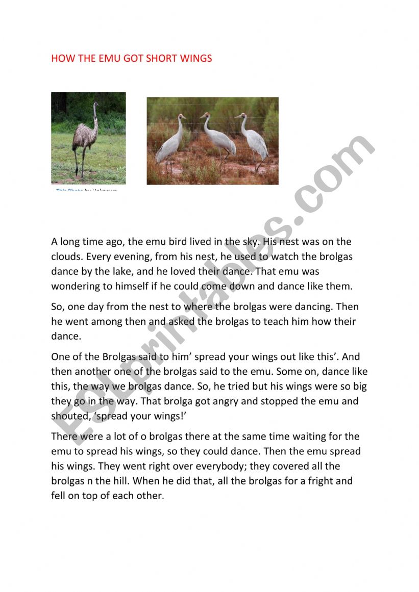 How the Emu got Short WIngs worksheet