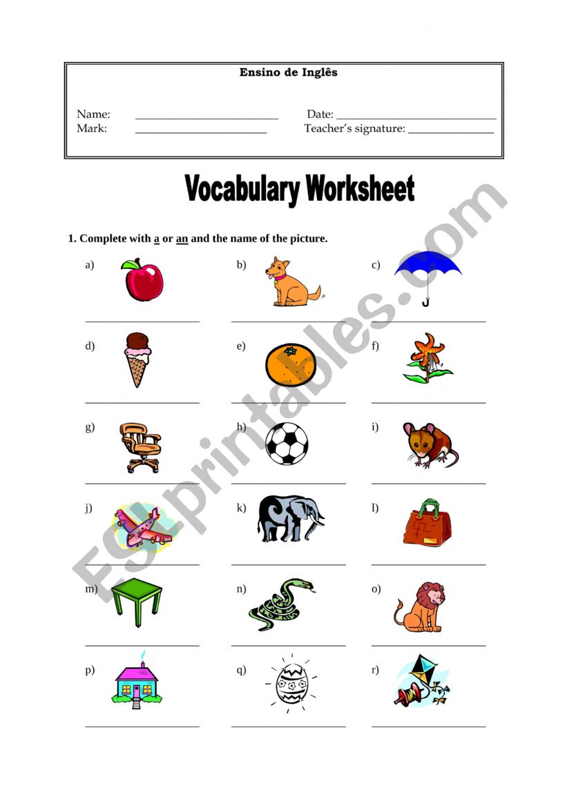 A / an worksheet worksheet