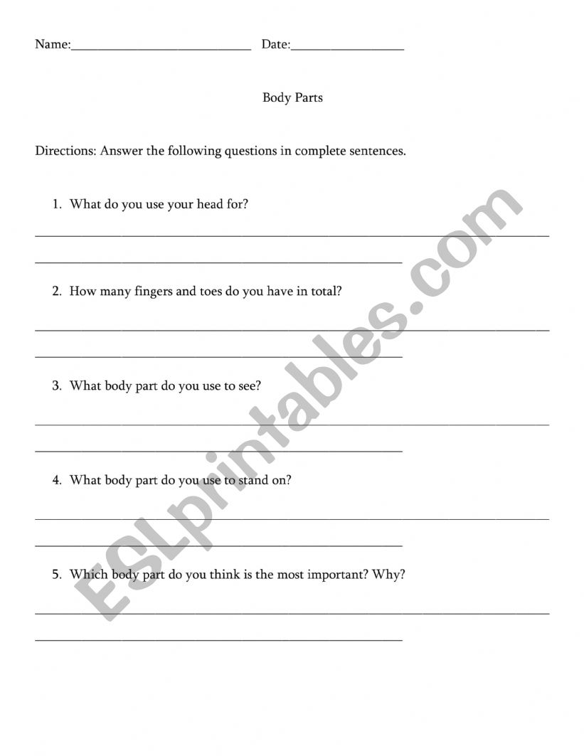 Body Part Questions worksheet