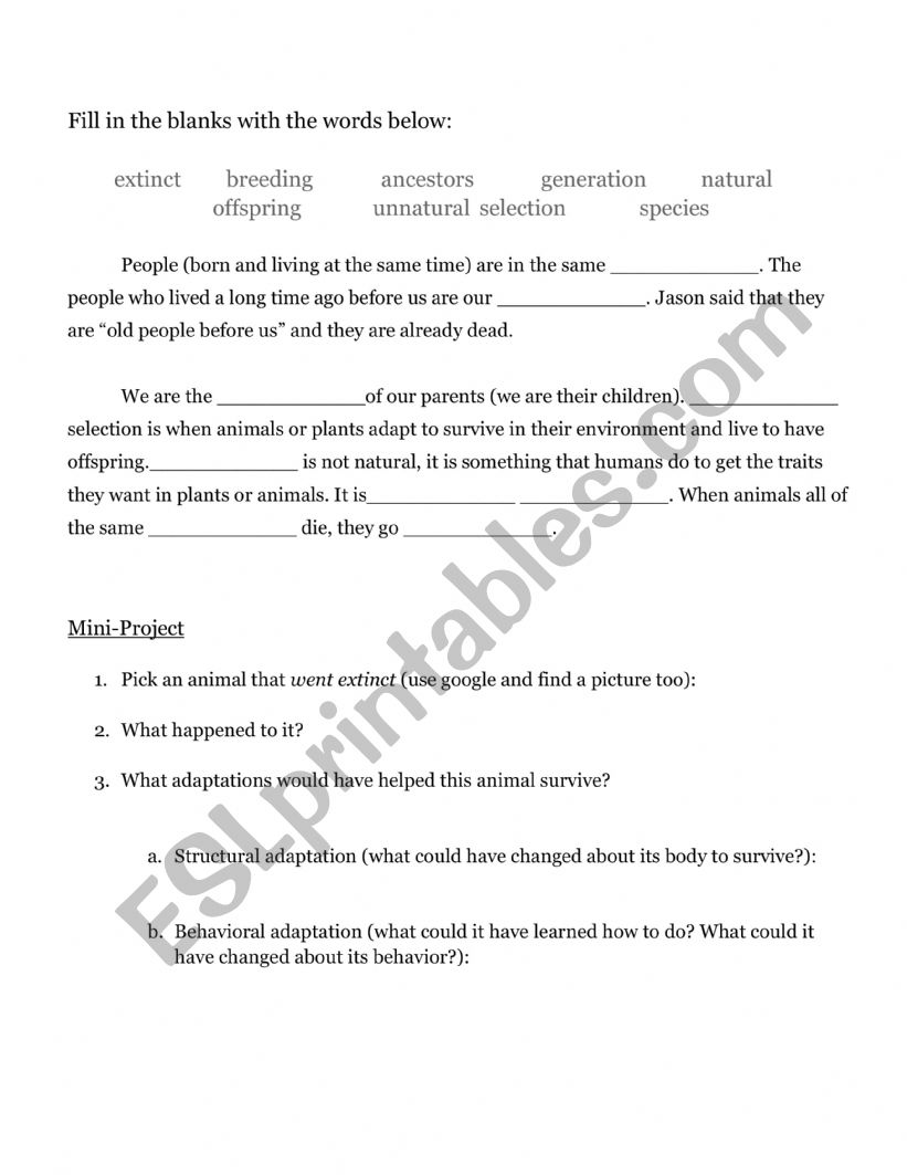 Adaptation Vocabulary and Activity