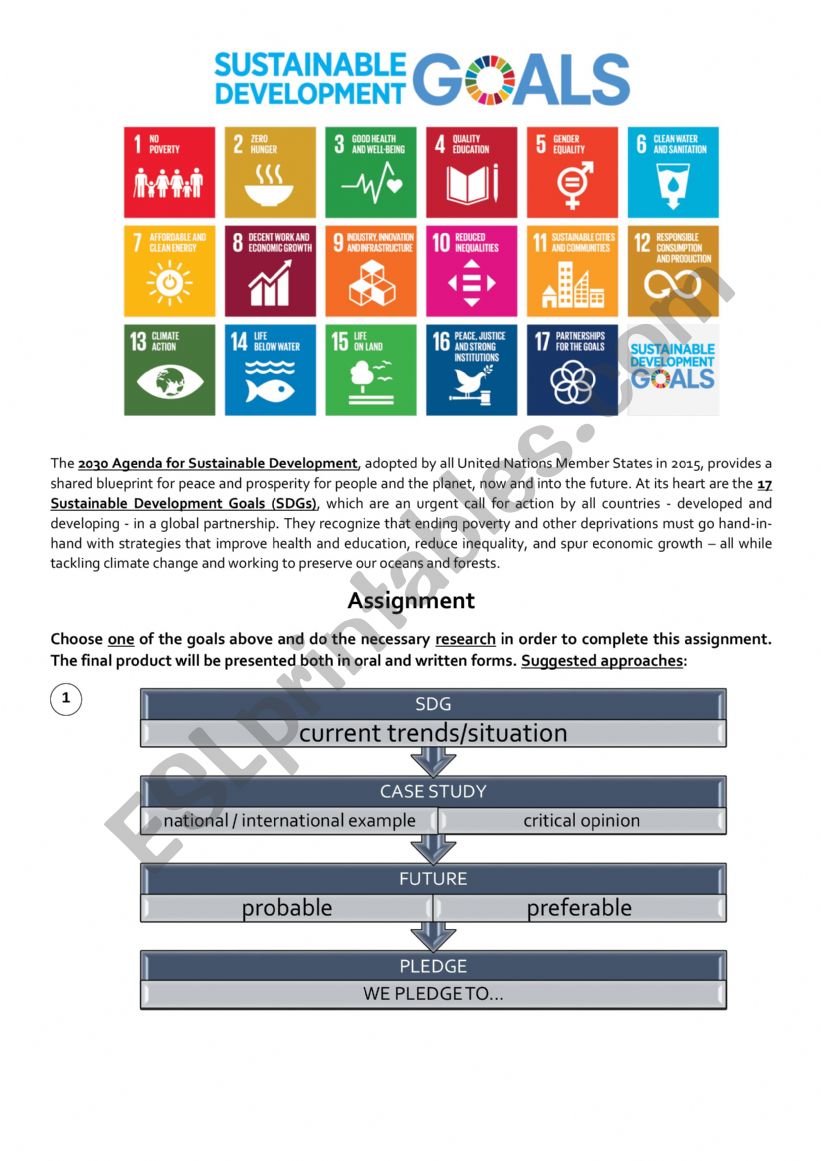 SDGs Assignment - a case study