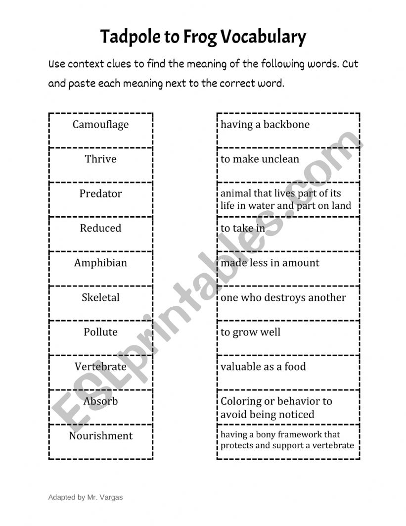 Quaker Parrot worksheet