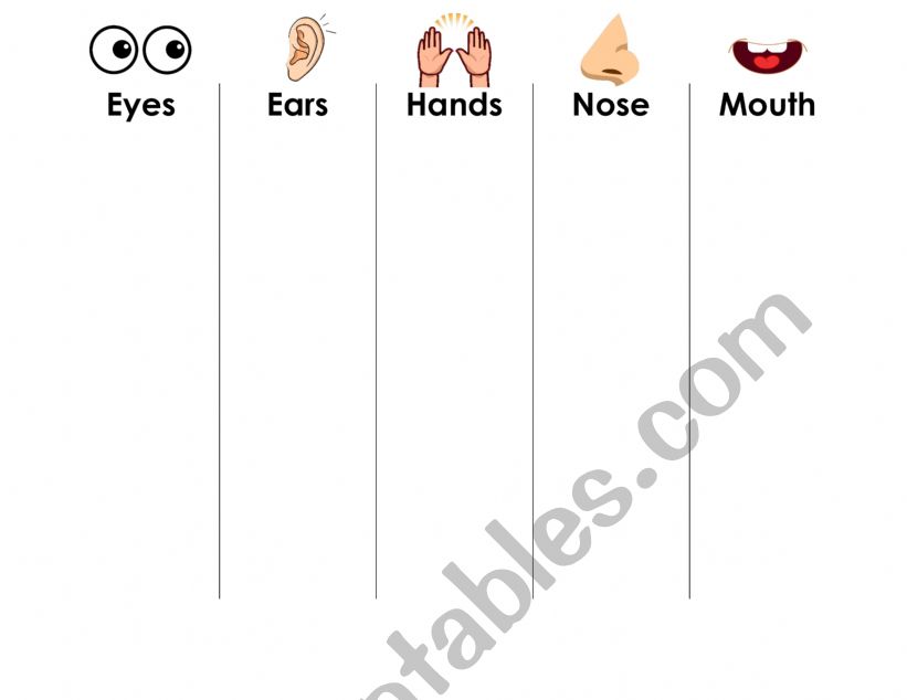 Body Parts worksheet
