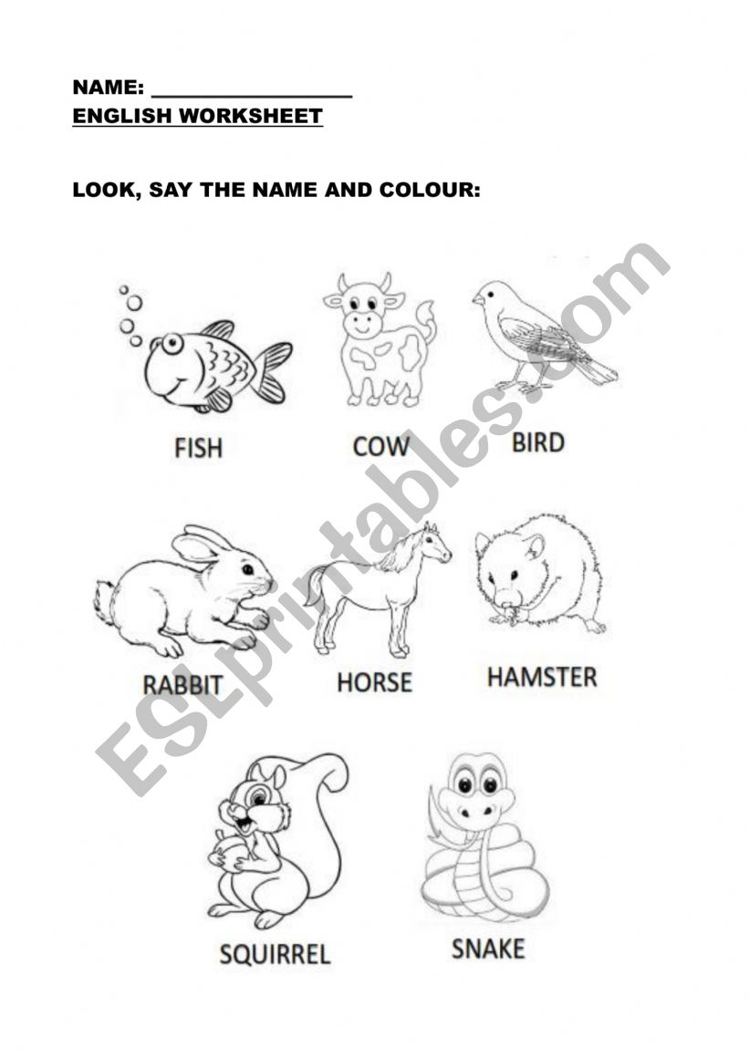 Read and colour the animals worksheet