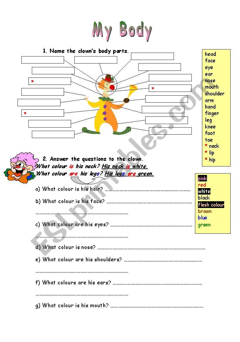 MY BODY worksheet part 2 worksheet