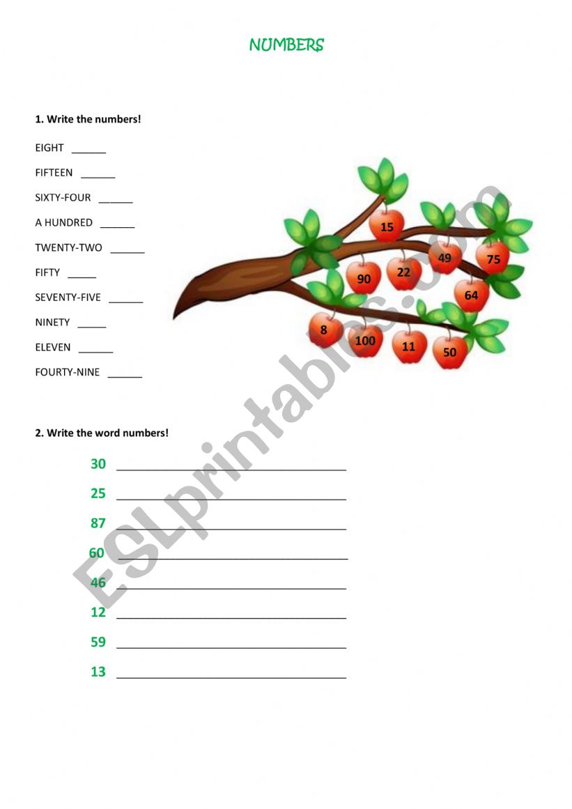 Numbers 1-100 worksheet