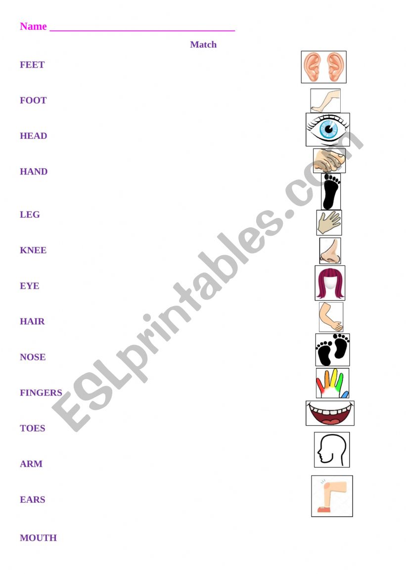 Match body parts worksheet