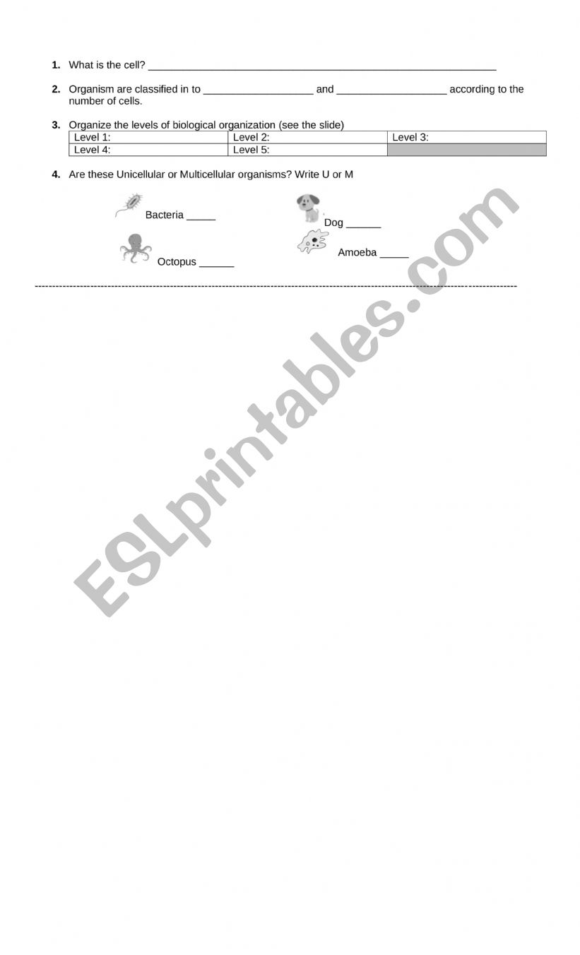 Levels of organization worksheet