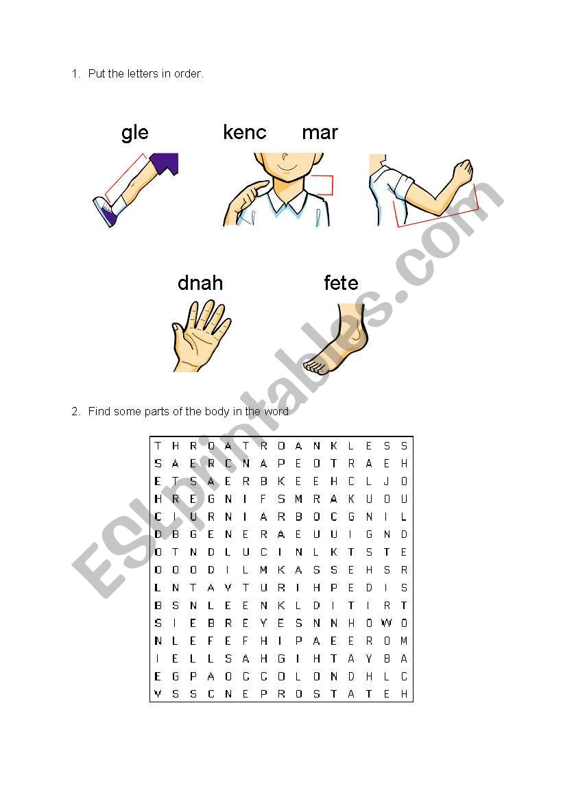 THE BODY worksheet