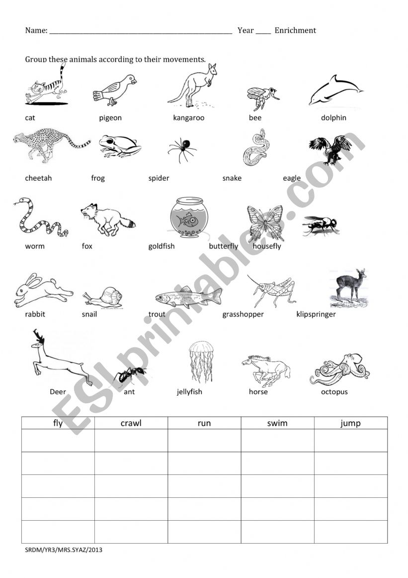 Animals Movement worksheet