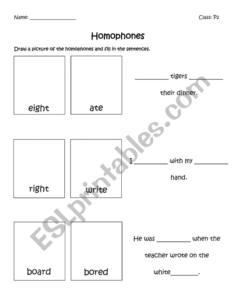 Homophones worksheet