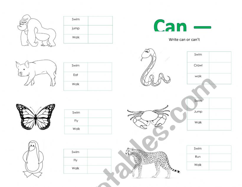can can�t animals worksheet