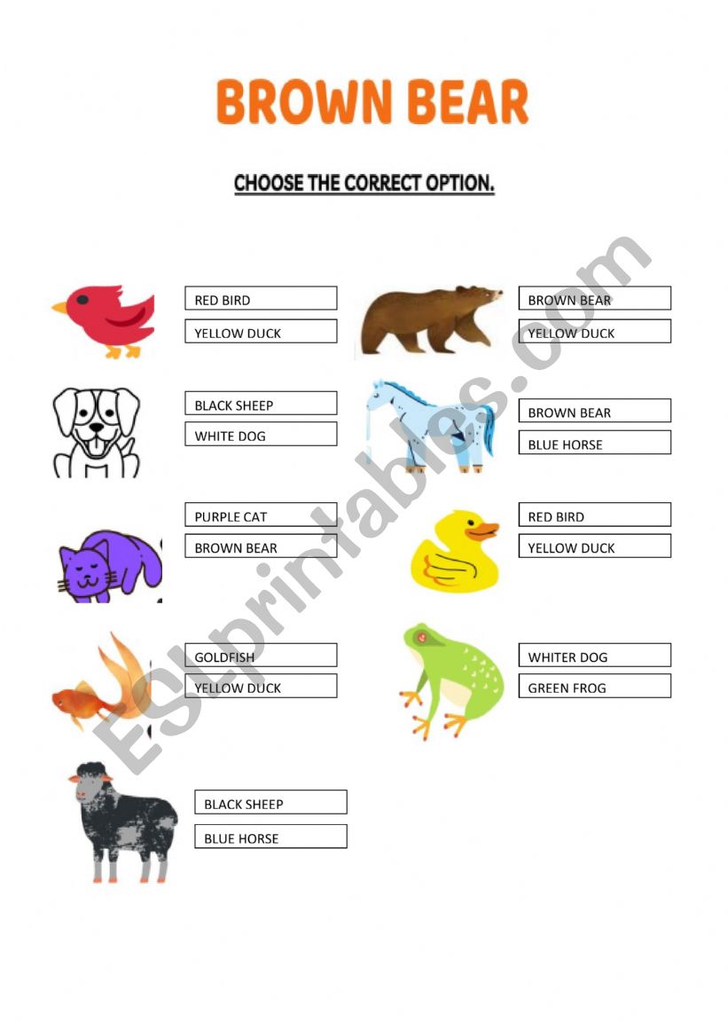 BROWN BEAR CHOOSE worksheet