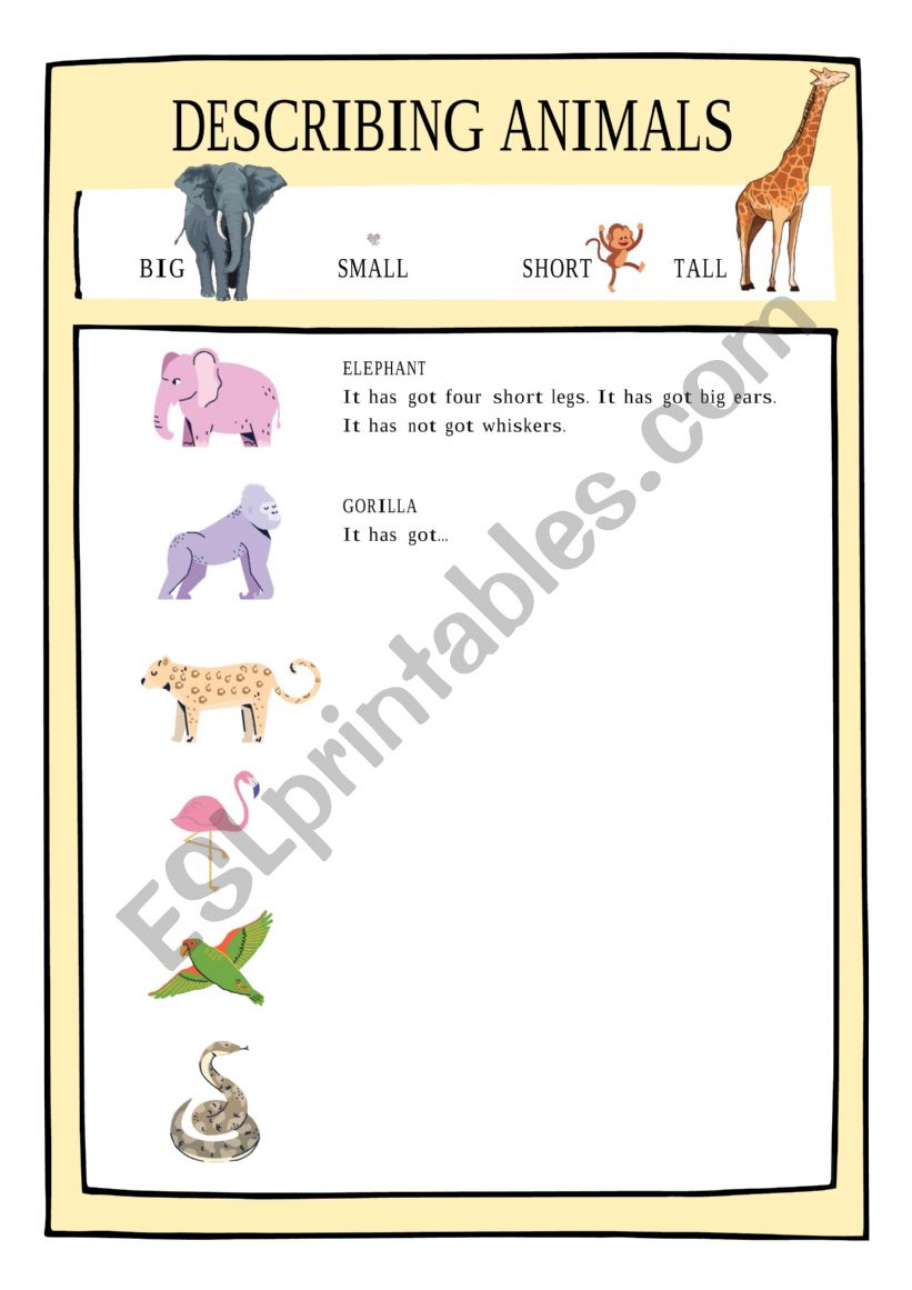 Describing animals (Has got) worksheet