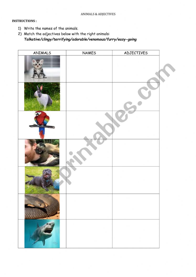 Animal and adjectives worksheet