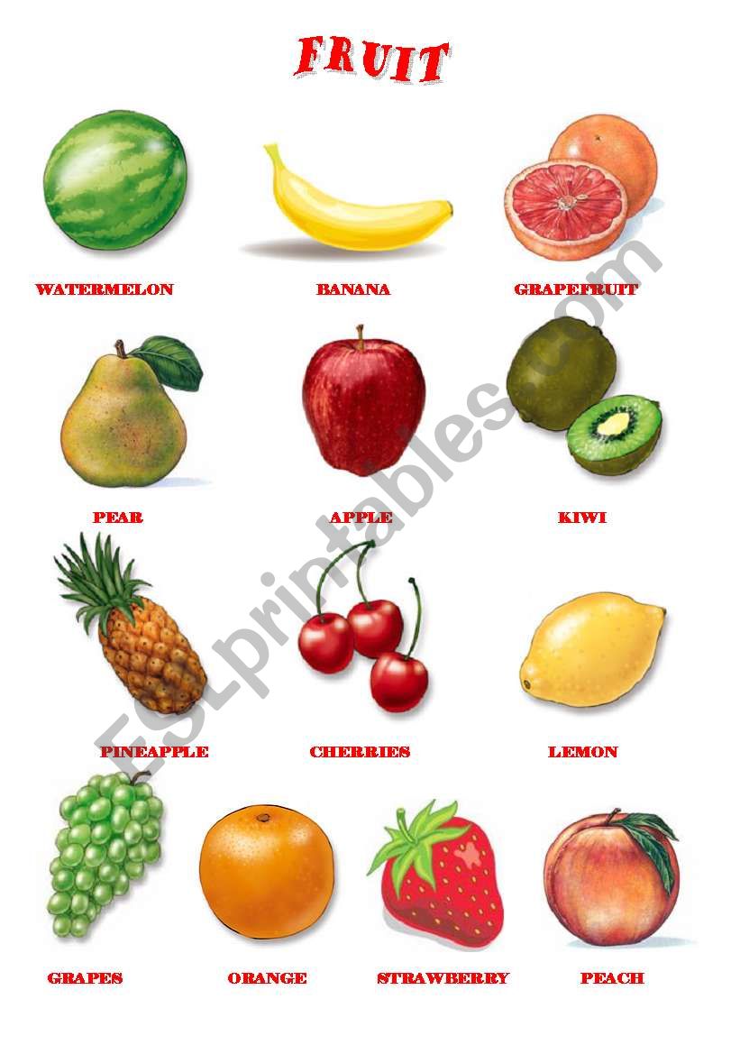 FRUIT worksheet