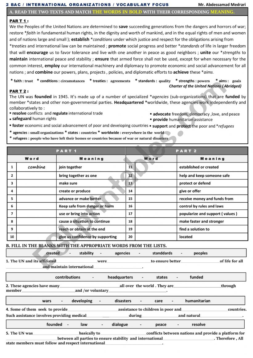 United Nations Organisation worksheet