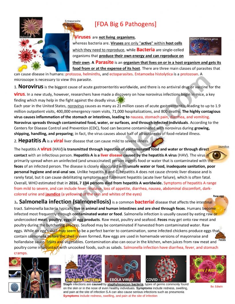 Pathogens worksheet