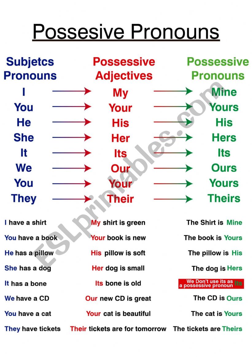 Possessive Adjectives worksheet