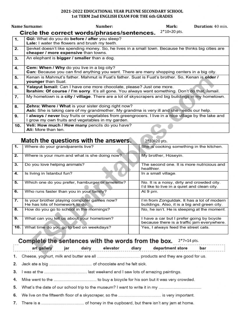 general revision worksheet