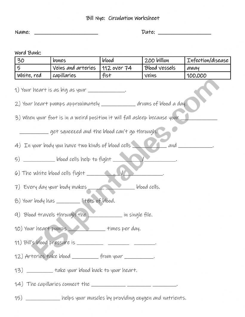 bill-nye-circulation-video-worksheet-and-answers-esl-worksheet-by-aoconno5