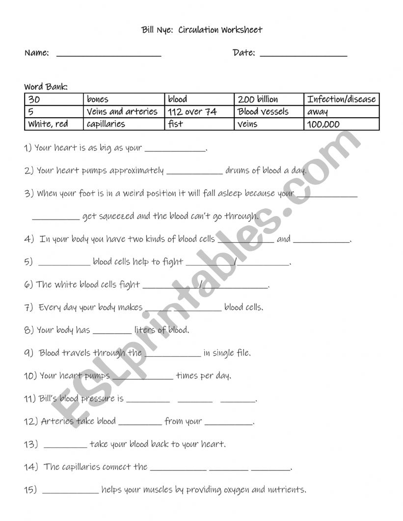 Bill Nye: Circulation video Worksheet and answers