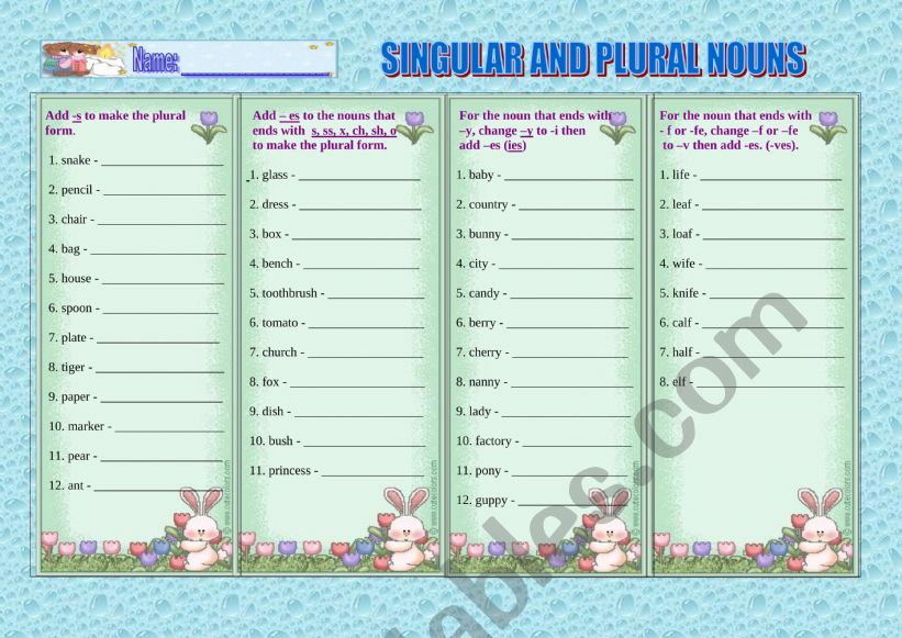 Singular Vs Plural Noun worksheet