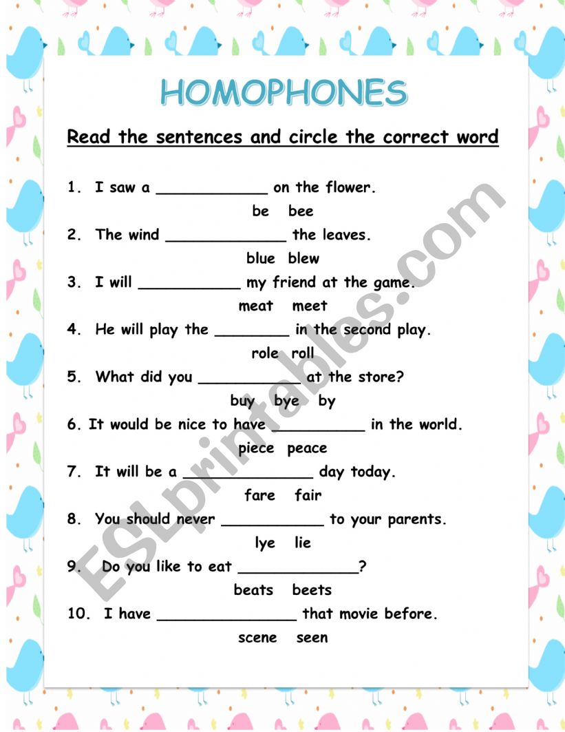 Homophones  worksheet
