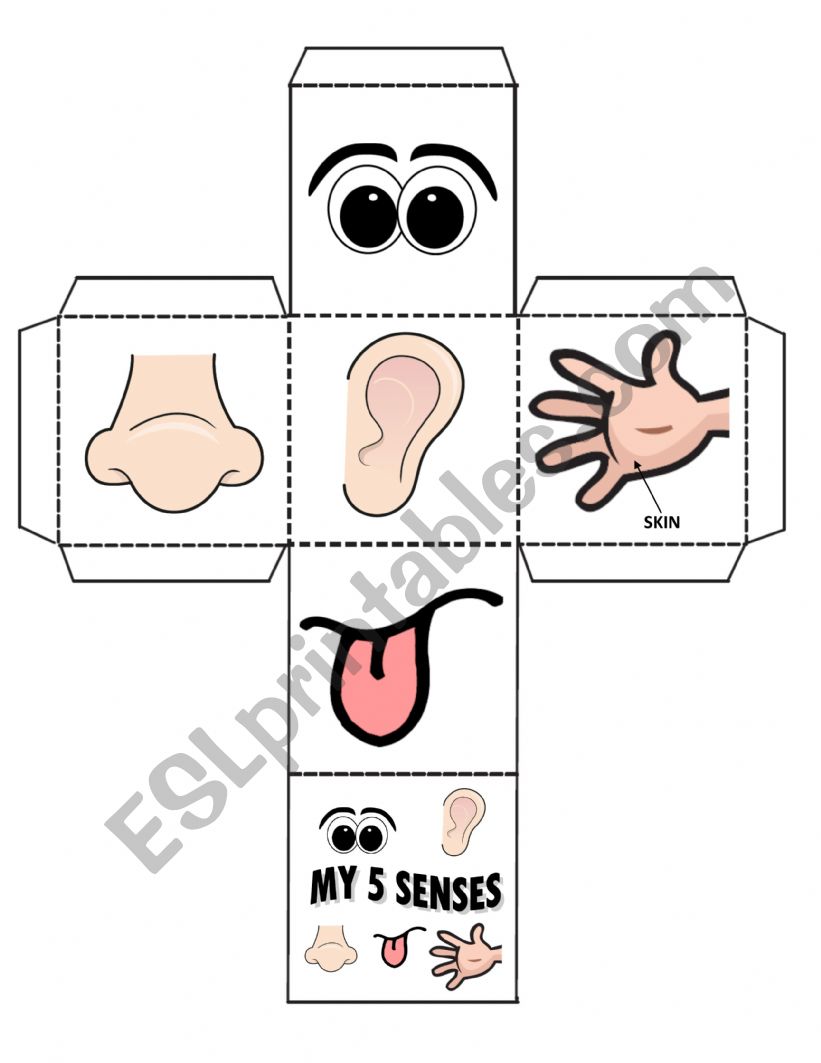 senses worksheet