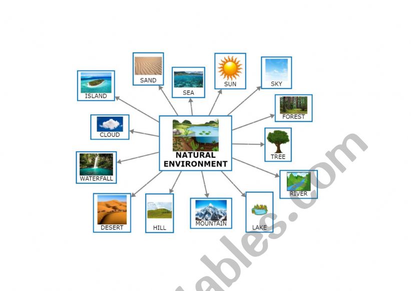 Natural environment (mindmap) worksheet