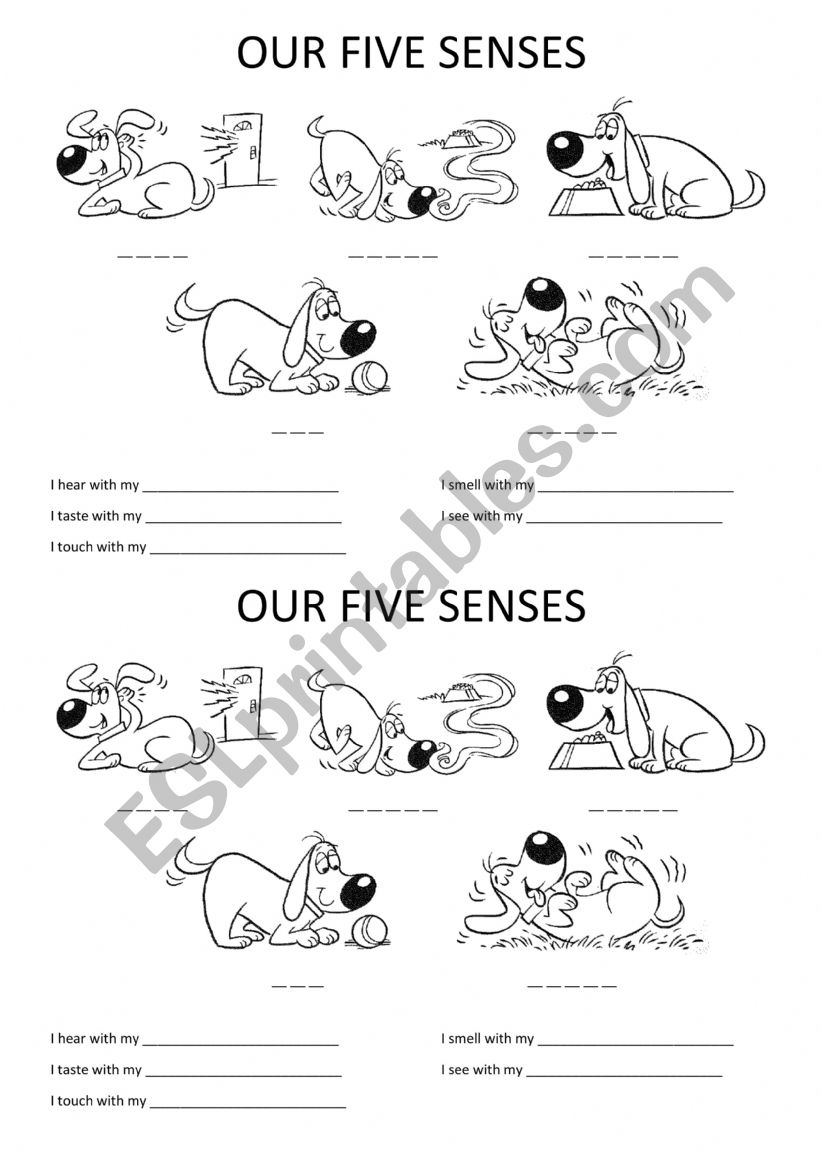 Our five senses worksheet