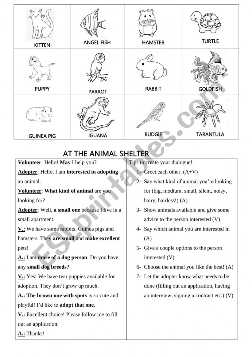 Pets Role Play worksheet