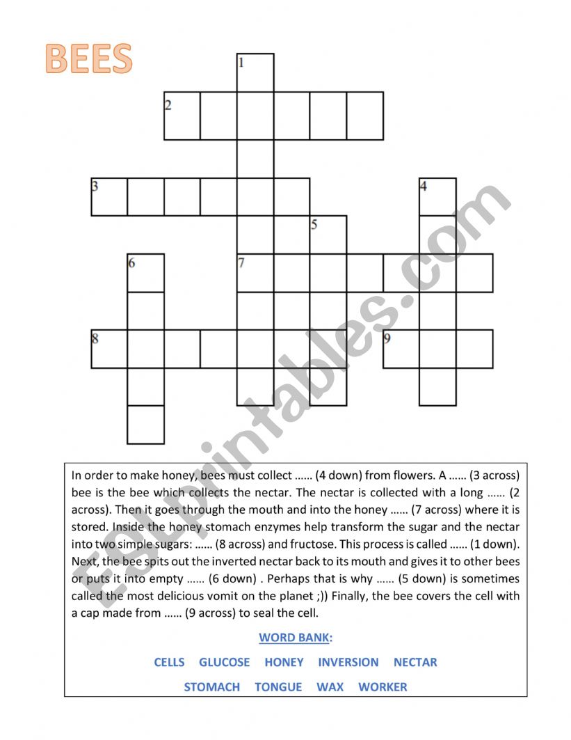 Bees Crossword  worksheet