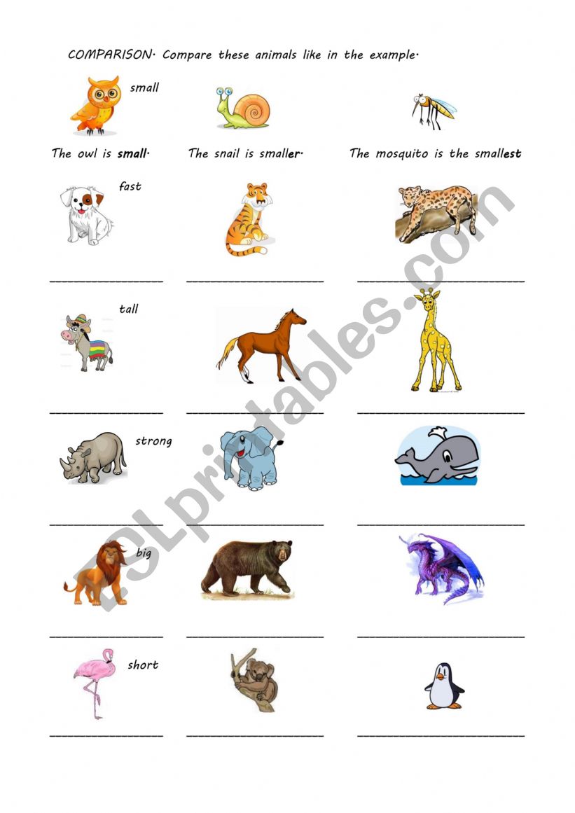Comparison of Animals worksheet