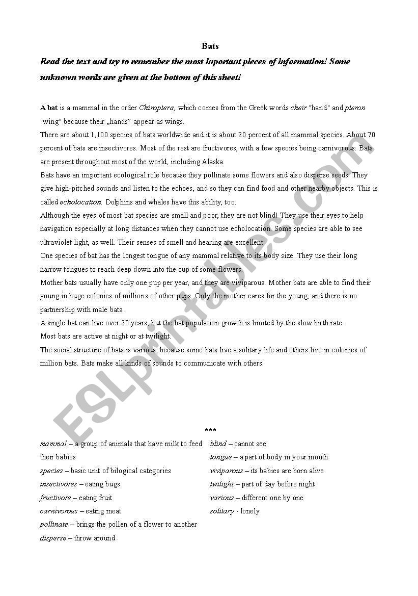 Read about bats PART1 worksheet