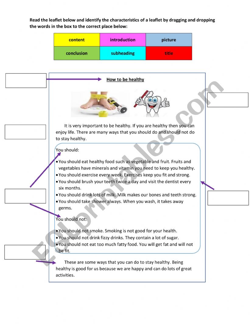 leaflet worksheet