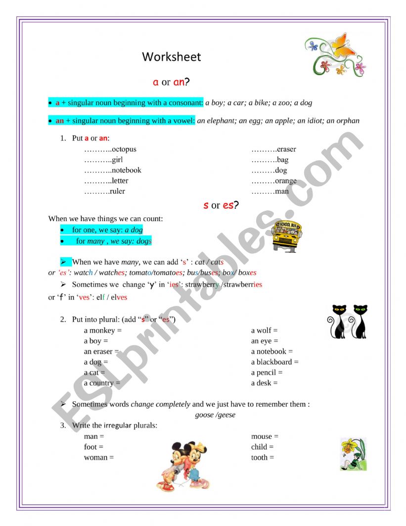THE ARTICLE worksheet