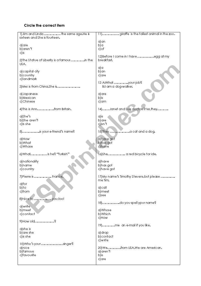 English Test  worksheet