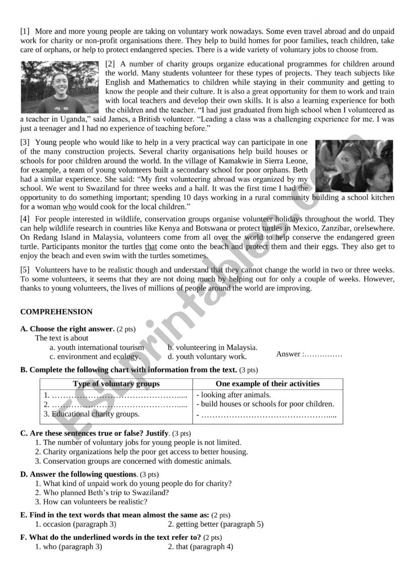 voluntary work worksheet