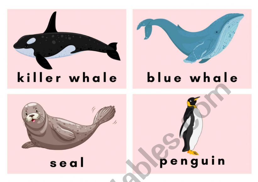 Arctic Animal flashcard worksheet