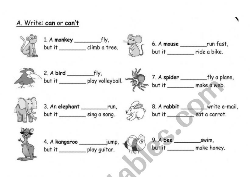 wild animals: can or can�t? worksheet