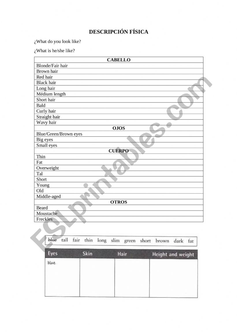 Physical description worksheet