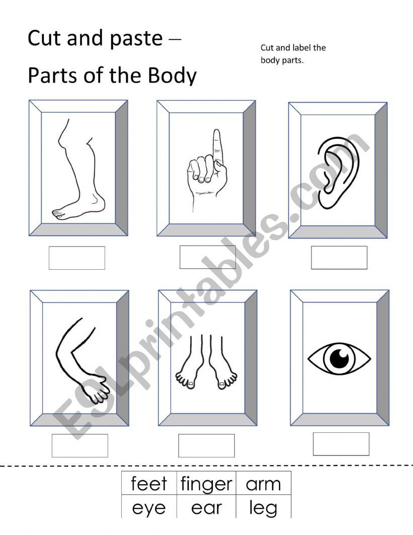 Body parts cutting worksheet