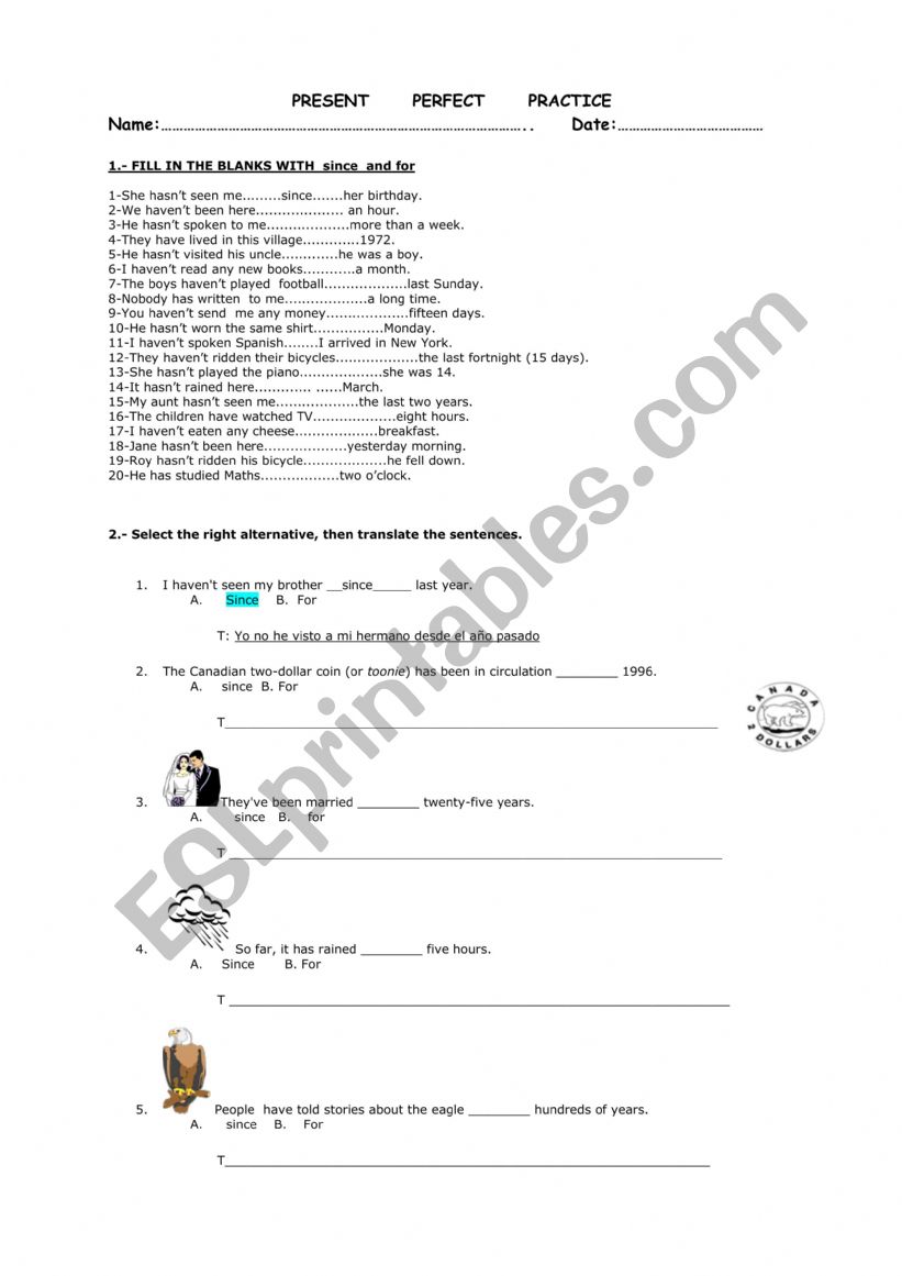 present perfect practice worksheet