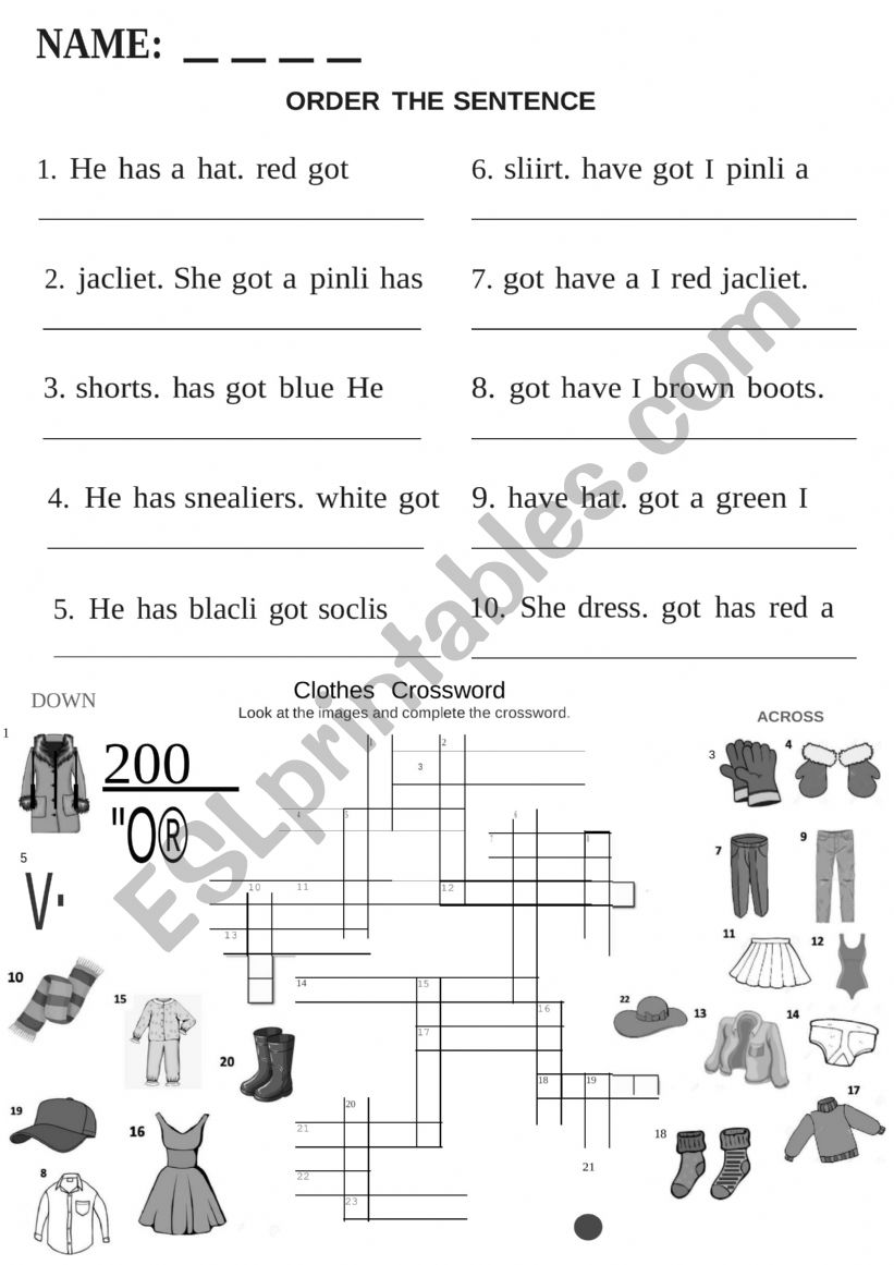 Has got and Have got Clothing worksheet