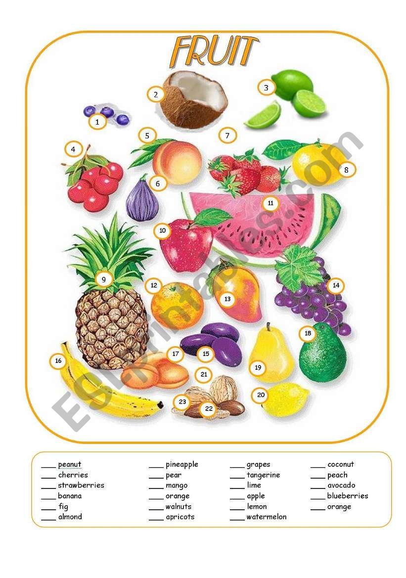 FRUIT worksheet