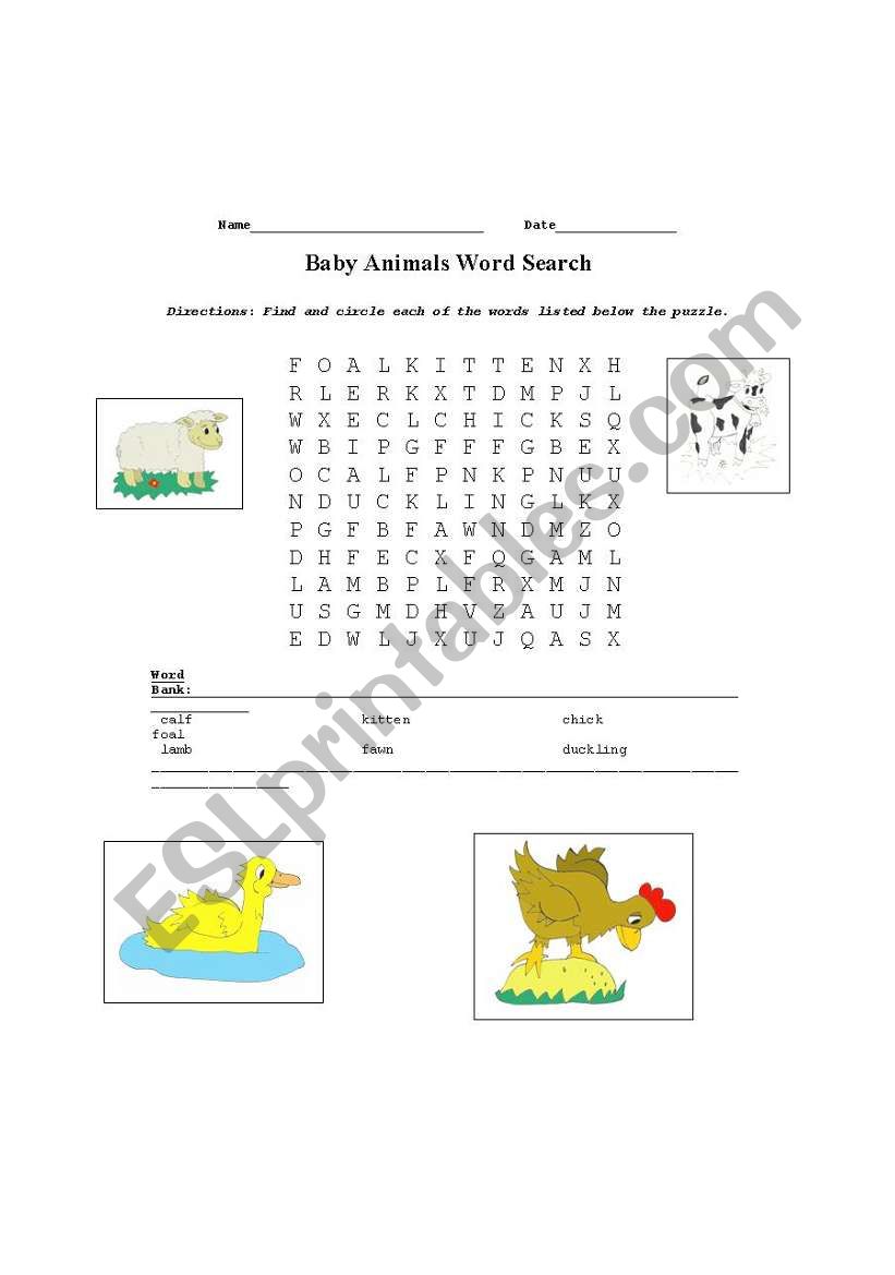 Baby animals worksheet