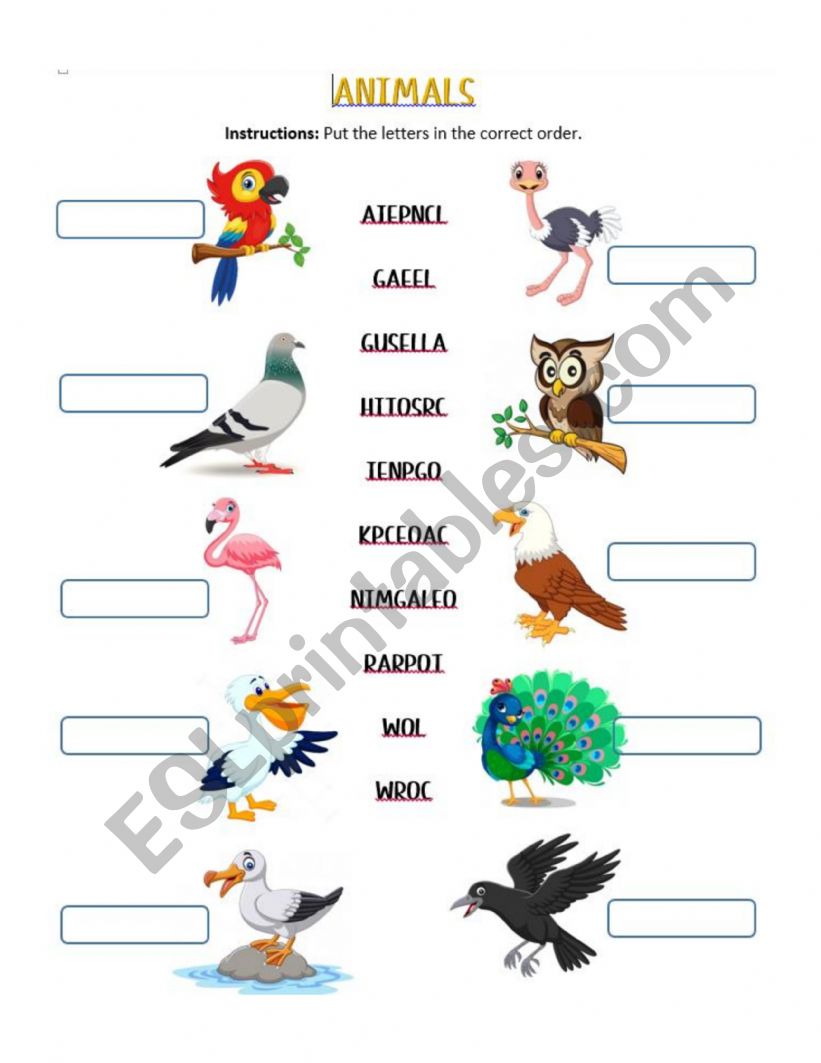 Animals worksheet