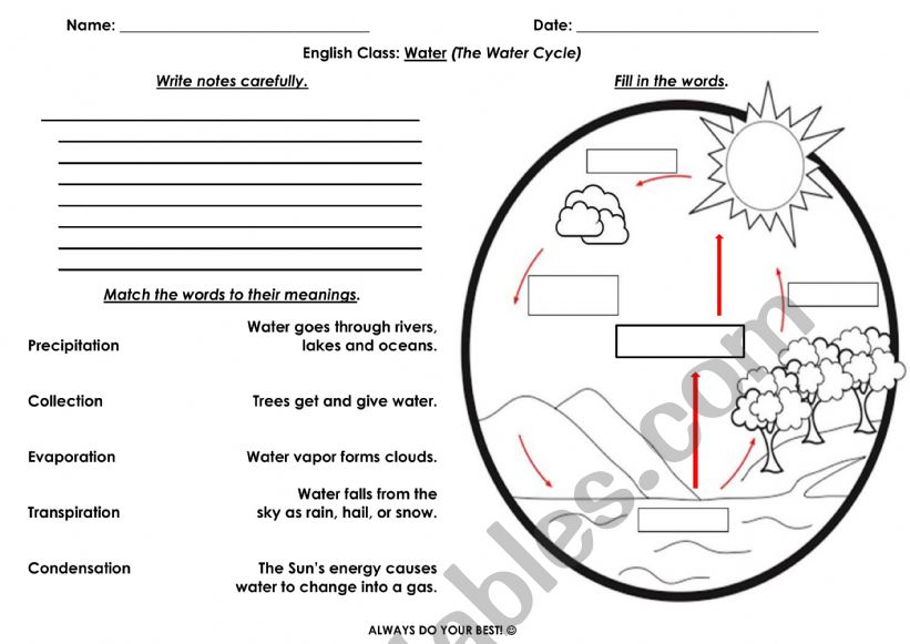 Water Cycle Worksheet worksheet