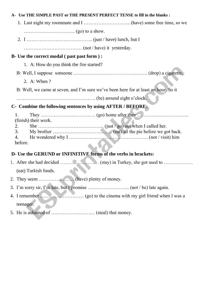 Past Perfect & Gerund Exercises